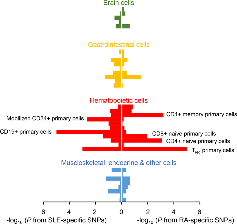 Read more about the article Jiwoo’s two papers in Scientific Reports